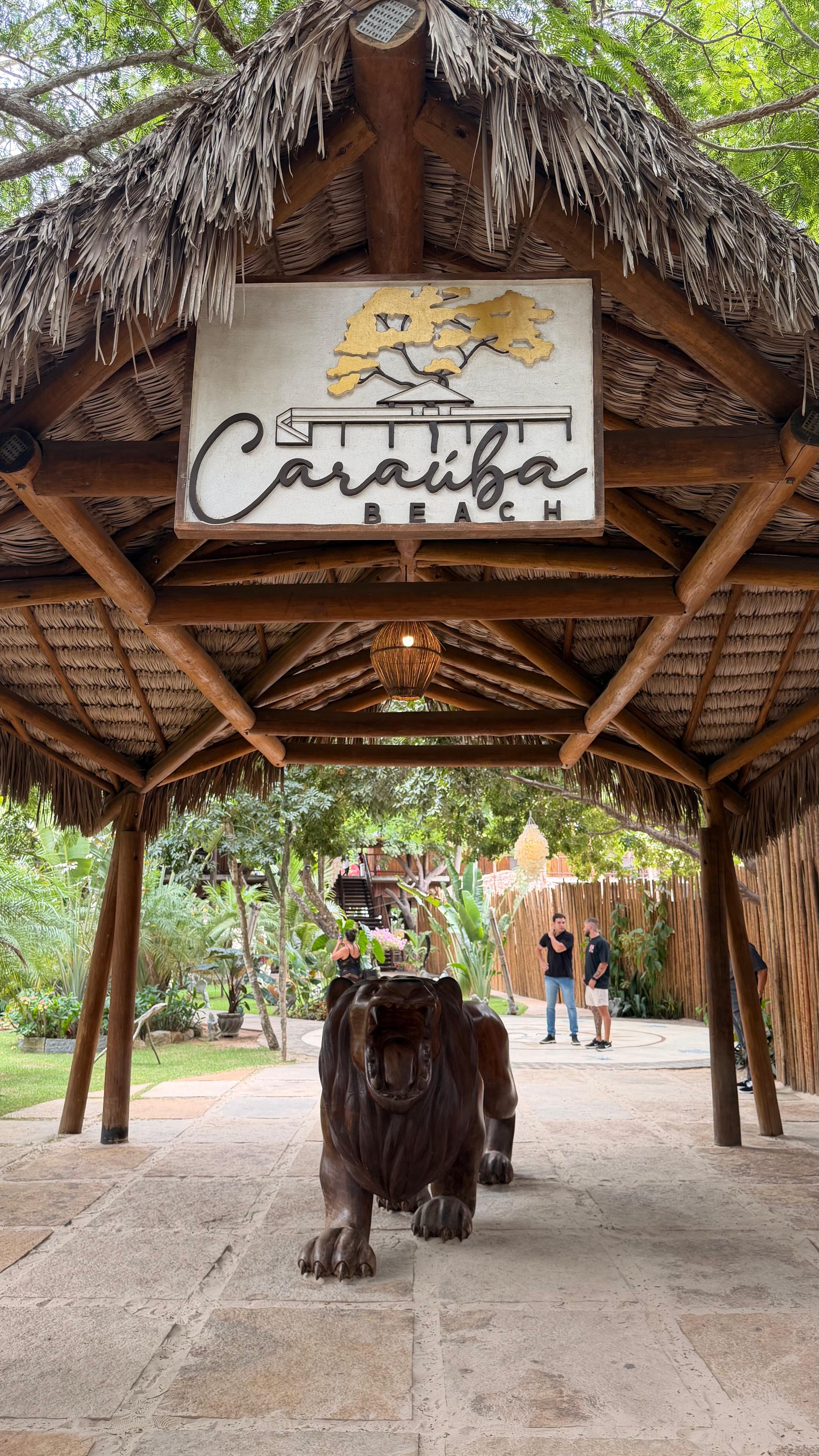 🌴 Passeio Jericoacoara 1 dia Premium